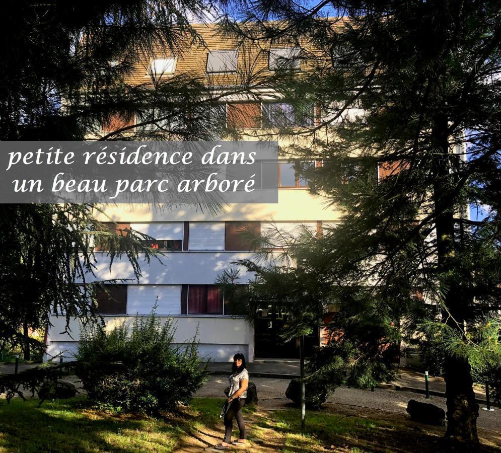 Les Combles D Agate Apartment Sorbiers  Luaran gambar